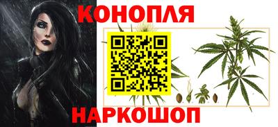PSILOCYBIN Севастополь