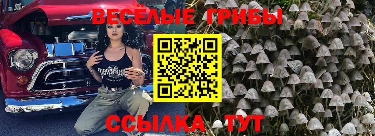 Cocaine  Острогожск  ЭКСТАЗИ  Кокаин  ГАШИШ  Каннабис  Вход с VPN  Меф МЯУ МЯУ   МЕТ 