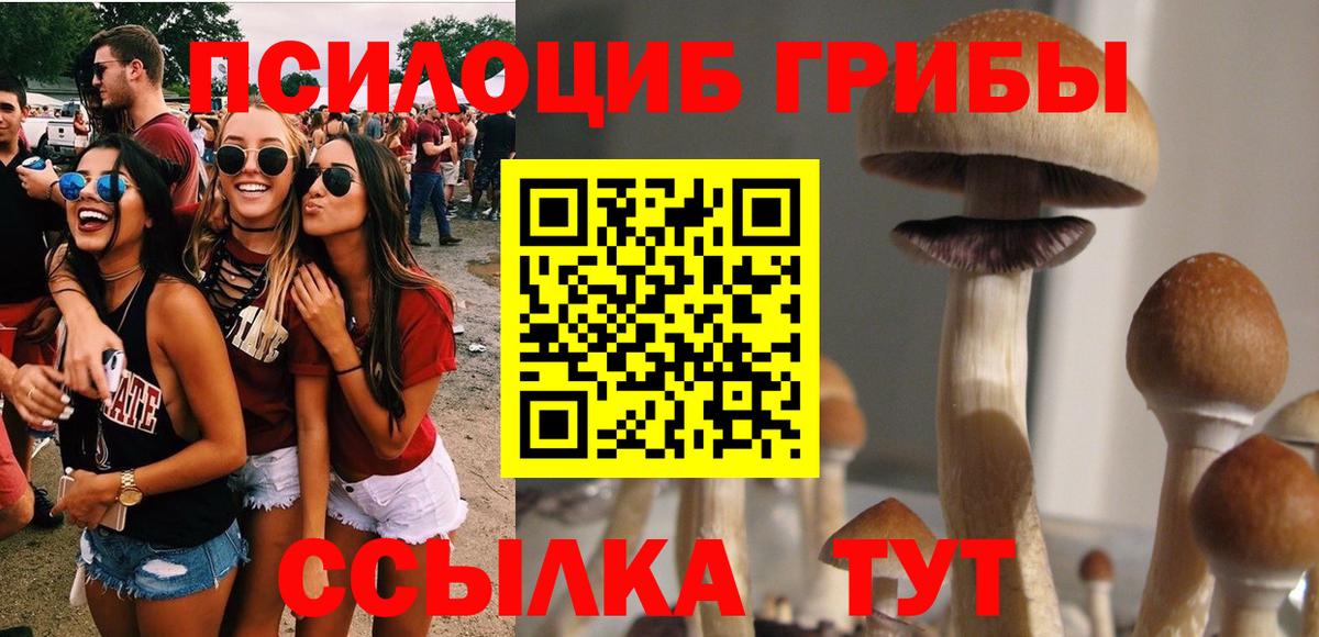 Псилоцибиновые грибы MAGIC MUSHROOMS Острогожск